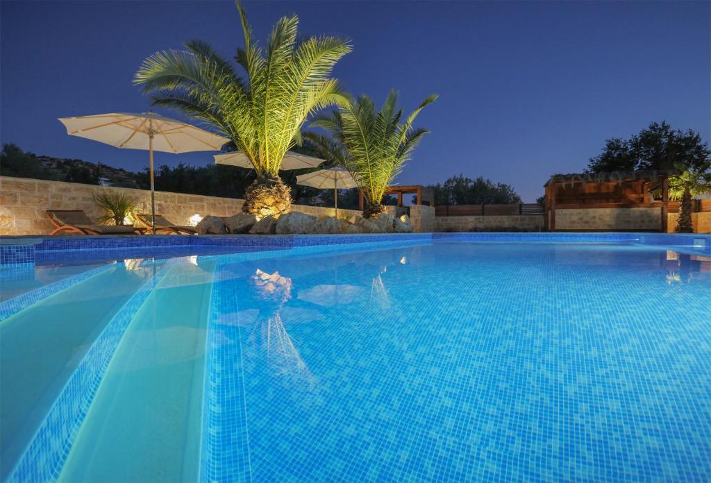 Night view of the illuminated outdoor pool with sun loungers and palms
