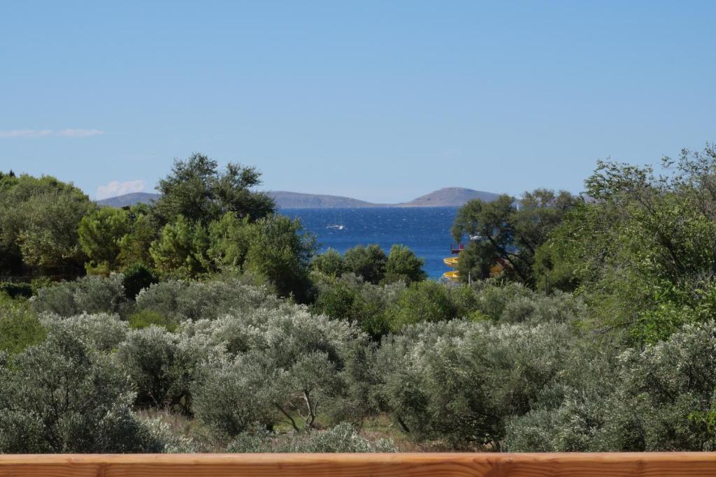 View of nature, olive trees and the sea from the balcony