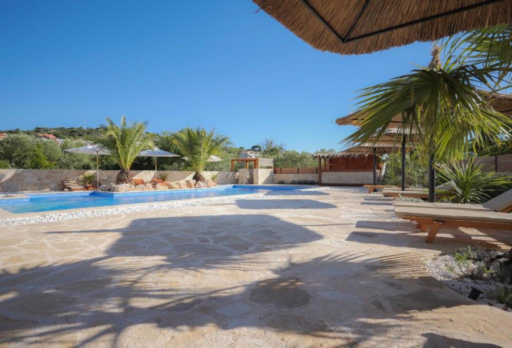 Multiple sunlounger with parasols between palms